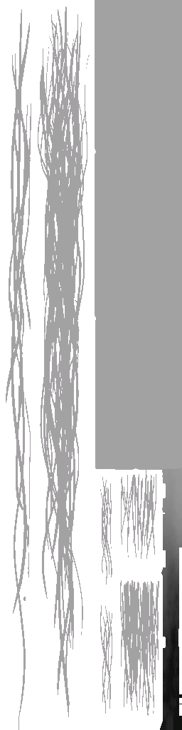 BD_M_5050[_hair]_a_l.png